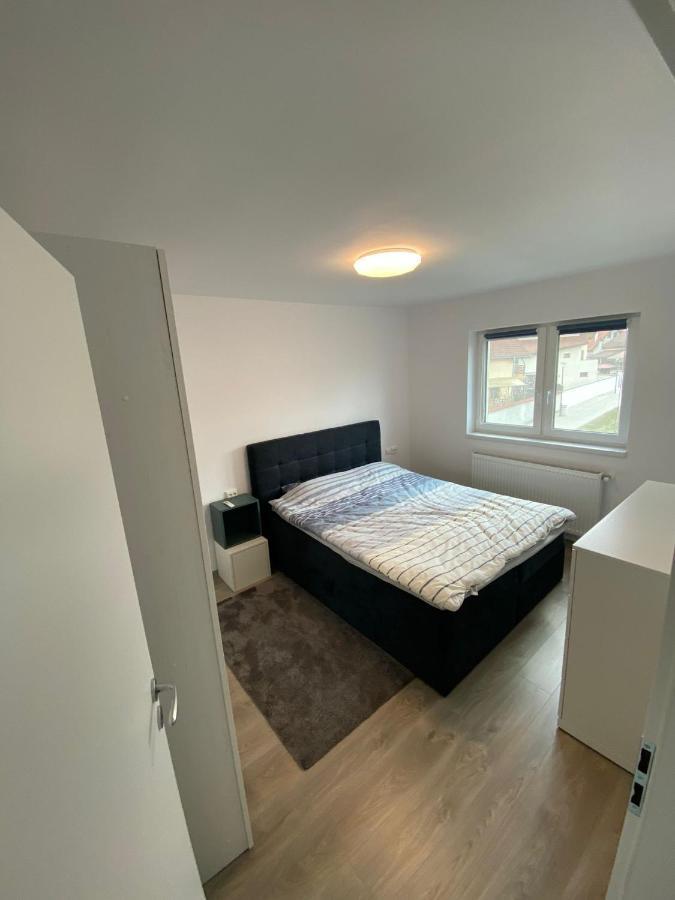 Apartament „Viena” - 2 Camere Şelimbăr Dış mekan fotoğraf